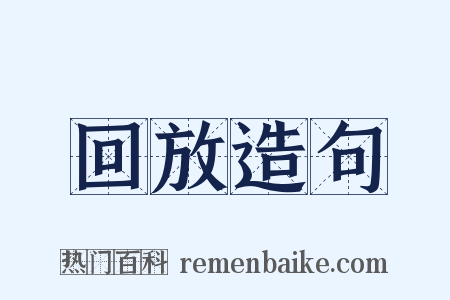 回放造句是什么意思的图片
